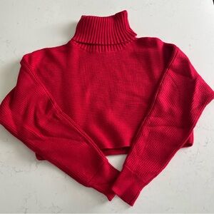 House of Harlow 1960 Cropped Turtleneck Sweater